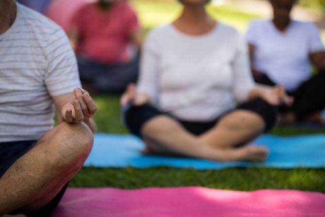 Senior individuals practicing meditation on exercise mats in a park. Ideal for promoting wellness, mindfulness, and healthy lifestyle among elderly. Suitable for use in articles, blogs, and advertisements related to senior fitness, outdoor activities, and mental health.