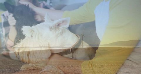 Women petting terrier on sofa with desert horizon double exposure, cozy companion concept