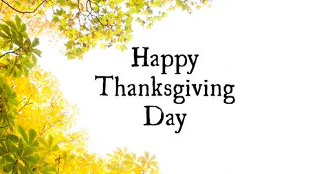 Happy Thanksgiving Day Text with Autumn Foliage - Download Free Stock Images Pikwizard.com