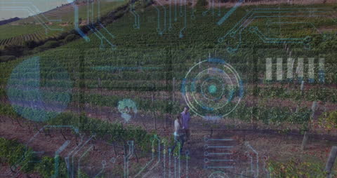 Digital Innovation in Agriculture with Vineyard Technology