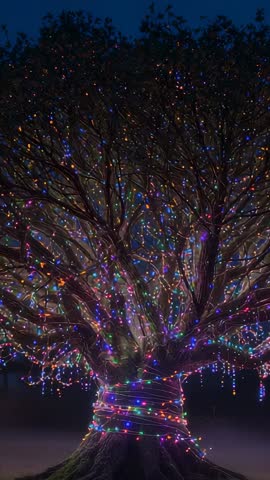 Switching On Tree Lights at Night, Enchanting Field Illumination Holiday Vertical Video