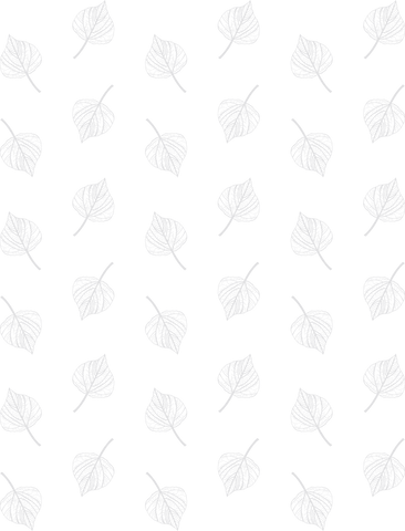 seamless white leaf pattern on transparent background for design - Download Free Stock Videos Pikwizard.com