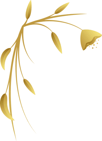 Elegant gold botanical design on transparent background