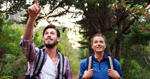 Young couple hiking through a dense forest, both wearing backpacks. Man pointing towards something, with woman looking in the same direction, both appearing intrigued and happy. Suitable for nature, adventure travel, outdoor activities, tourism, and leisure-themed campaigns or articles.