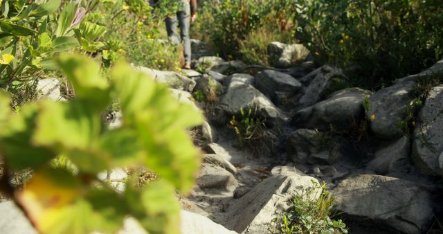 Legs of caucasian man trekking on rocky path in nature on sunny day, copy space. Exploration, adventure, hiking, nature, hobbies, healthy lifestyle and outdoor activities, unaltered.