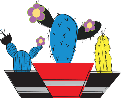 colorful cacti in modern pots on transparent background - Download Free Stock Videos Pikwizard.com