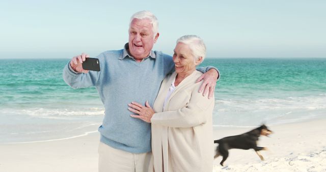 Senior couple taking a selfie on a beach with ocean in the background. They are smiling and enjoying their time together. A dog running in the background adds a dynamic element to the scene, making it perfect for illustrating retirement joy, travel ads targeted at seniors, or lifestyle magazines featuring active elderly lifestyles.