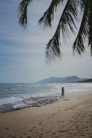 Scenic Tropical Beach Walk Under Palm Fronds