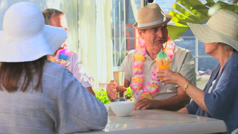 Group of Friends Enjoying Tropical Drinks and Vacation