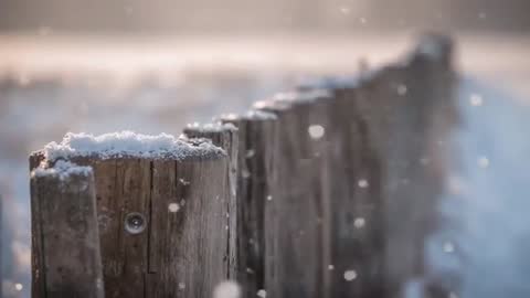 Shifting focus along weathered wooden fence with falling snow and cinematic backlight