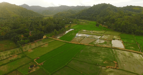 high angle view of lush transparent fields by mountains - Download Free Stock Videos Pikwizard.com