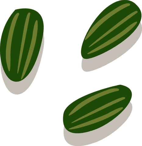 Minimalist green striped seed shapes on transparent background