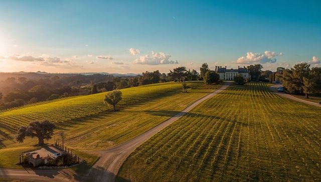 Golden hour vineyard estate with manor, rolling trellised rows and gravel driveway