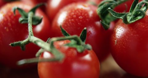 Fresh Cherry Tomatoes Celebrate National Vegetarian Week - Download Free Stock Images Pikwizard.com