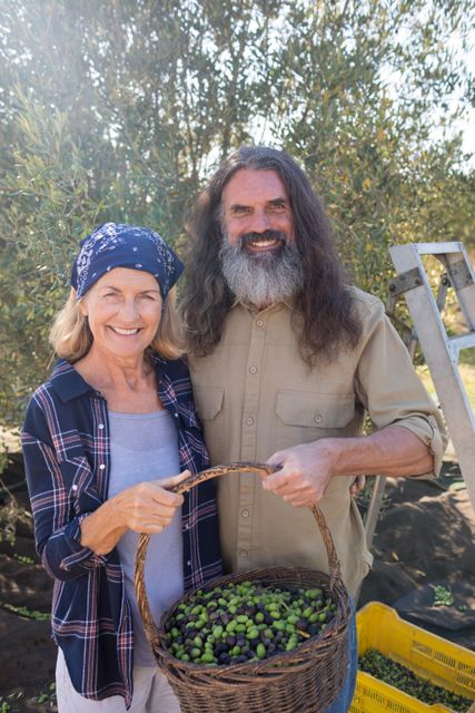This image depicts a happy couple standing outdoors on a farm, holding a basket full of freshly harvested olives. They are smiling and appear content with their work. This image can be used for promoting agricultural activities, organic farming, sustainable agriculture, rural lifestyle, and teamwork in farming. It is also suitable for articles or advertisements related to healthy living, nature, and countryside life.