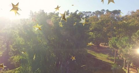 Sunlit park aerial over tree canopy with golden star overlays and warm lens flare