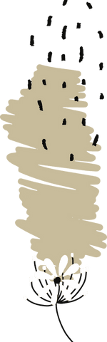 abstract beige scribble with daisies on transparent background - Download Free Stock Videos Pikwizard.com
