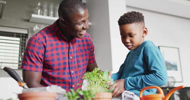 Father and Son Gardening Indoors with Potted Plants - Download Free Stock Images Pikwizard.com