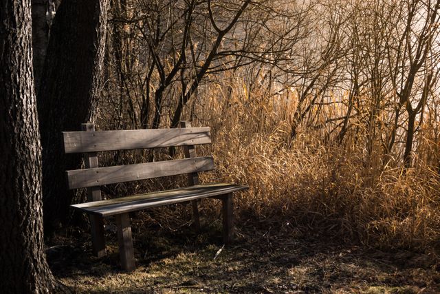 Empty wooden bench situated by an autumn lake, illuminated by the warm hues of sunset light. Surrounding bare trees and dry reeds create a tranquil and solitary atmosphere. Ideal for promoting themes of nature, relaxation, loneliness, introspection, or seasonal change. Suitable for websites, blogs, and advertisements related to outdoor activities, mental health, meditation, and travel.