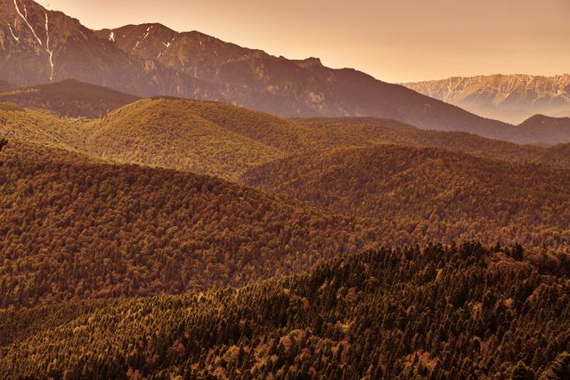 Mountain range under sunset sky with forested hills in foreground, capturing majestic natural beauty. Perfect for nature travel websites, outdoor magazines, inspirational posters, and meditation backgrounds.