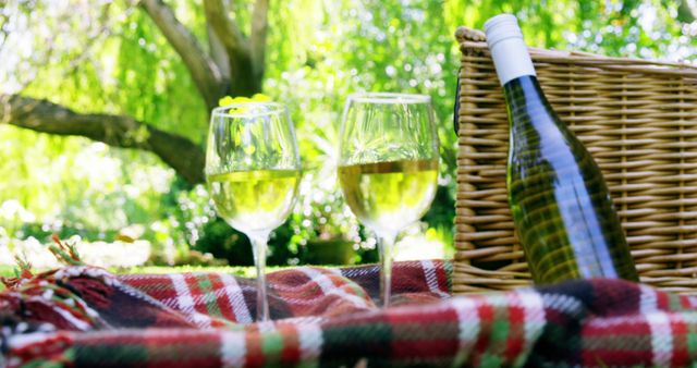 White wine and picnic setup outdoors on a plaid blanket - Download Free Stock Images Pikwizard.com