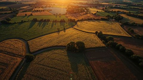 Aerial View of Scenic Farmland at Sunset with Fields and Hedgerows