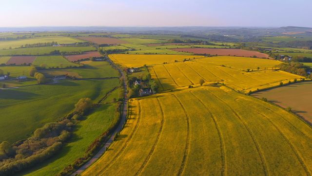 Detailed imagery of farmland patchworks with green and yellow fields under a sunny sky. Perfect for agriculture-related content, countryside themes, environmental topics, real estate promotions, wallpaper backgrounds, travel blogs focusing on rural areas, illustrative guides, and educational materials on farming practices.