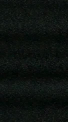 Vertical black frame holding still in pitch darkness highlighting lens obstruction and mystery