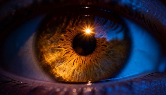 Amber iris macro with starburst reflection showing detailed fibrous texture and pupil