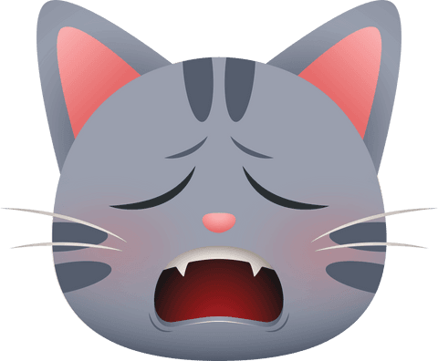sad gray cat emoticon on transparent background isolated - Download Free Stock Videos Pikwizard.com