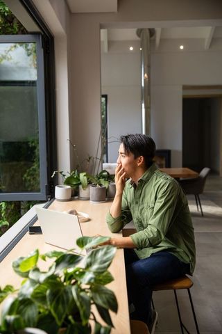 Asian man working at sunlit home office counter with laptop, plants and minimalist decor