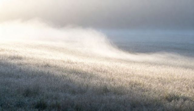 Dawn mist rolling over dewlit meadow with sunlit grass and minimalist pastel haze