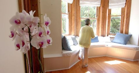 Senior Woman Relaxing with Tea in Sunny Home Corner - Download Free Stock Images Pikwizard.com