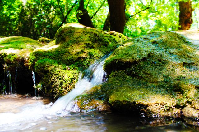 Moss-covered rocks with a stream of water flowing through a lush forest. Can be used in projects related to environmental preservation, relaxation themes, or nature documentaries.
