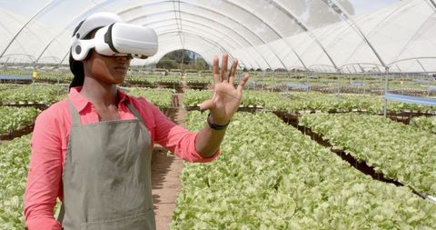 Innovative Farming with VR in Greenhouse by African American Woman