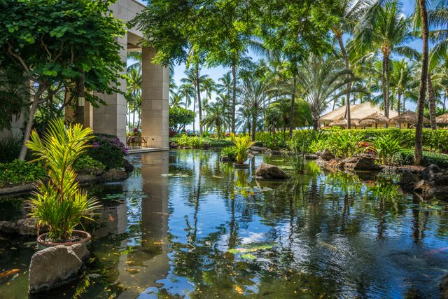 Reflective pond at the center of a tropical garden with lush greenery and numerous palm trees. Perfect for use in travel blogs, nature-themed articles, vacation resort promotions, and relaxing outdoor scenarios.