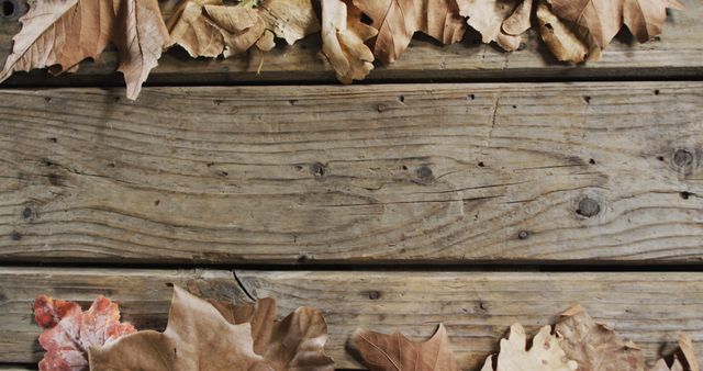Autumn Leaves on Rustic Wooden Planks Background - Download Free Stock Images Pikwizard.com