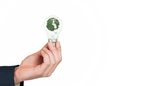 hand holding light bulb symbolizing creative idea on transparent background - Download Free Stock Videos Pikwizard.com