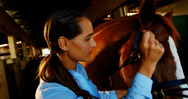 Woman Tending to Horse in Stable - Download Free Stock Images Pikwizard.com