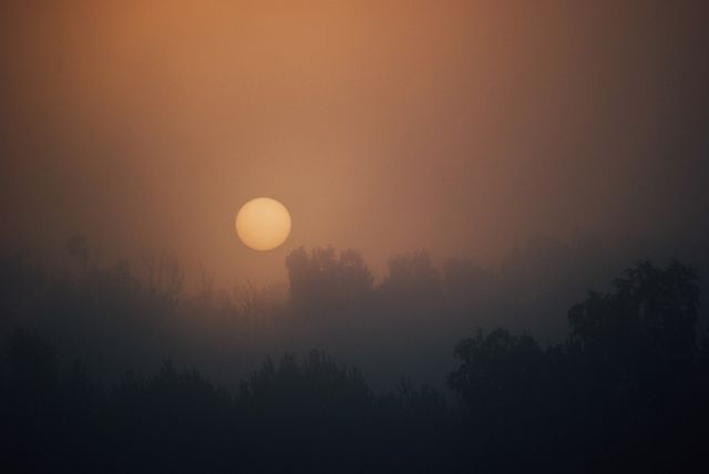 This captivating image captures a densely foggy morning scene with a glowing sun rising over a forest. The mist creates a mysterious and tranquil atmosphere, making it suitable for themes related to nature, calmness, mystery, or morning routines. Ideal for websites, blogs, or digital ad campaigns focused on wellness, relaxation, or natural beauty.