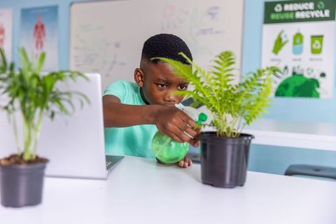 African american boy watering classroom plants with spray bottle while exploring nature