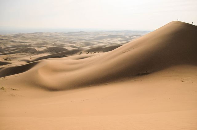 Image showcases expansive sand dunes under a soft, golden light. The wavy patterns in the dunes are prominent and there is a vast expanse of sand stretching to the horizon. This serene desert scene is perfect for travel blogs, environmental articles, nature calendars, and backgrounds for websites or presentations focusing on natural beauty and outdoor adventure.
