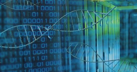 DNA Helix Overlay on Binary Code and Server Room - Download Free Stock Images Pikwizard.com