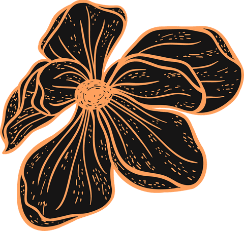 Intricate hand-drawn flower on transparent background