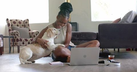 Woman working from home petting dog on hardwood floor with laptop in sunlit living room