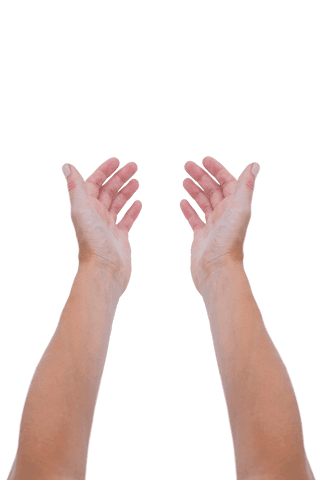 Caucasian Male Hands Reaching Out on Transparent Background - Download Free Stock Videos Pikwizard.com