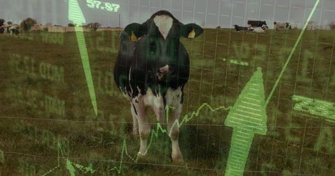 Cow in Pasture Merged with Financial Growth Graph