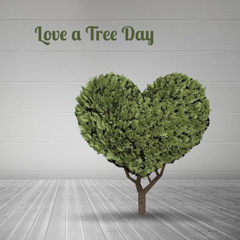 heart shaped tree for love a tree day - Download Free Stock Templates Pikwizard.com
