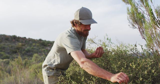 Man seen foraging among bushes wearing a cap, emphasizing nature and outdoor activities. Suitable for content related to ecological activities, wilderness adventures, or serene outdoor experiences.