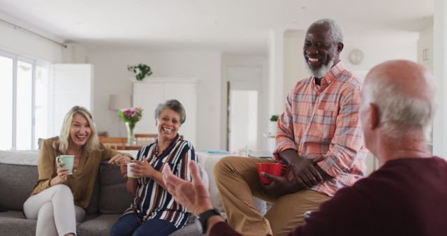 Senior Friends Socializing and Laughing Together in Cozy Living Room - Download Free Stock Images Pikwizard.com